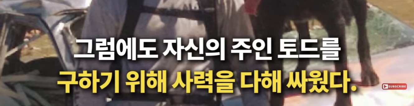 죽기 직전 특수버튼 눌러서 살아난 경찰 | 인스티즈
