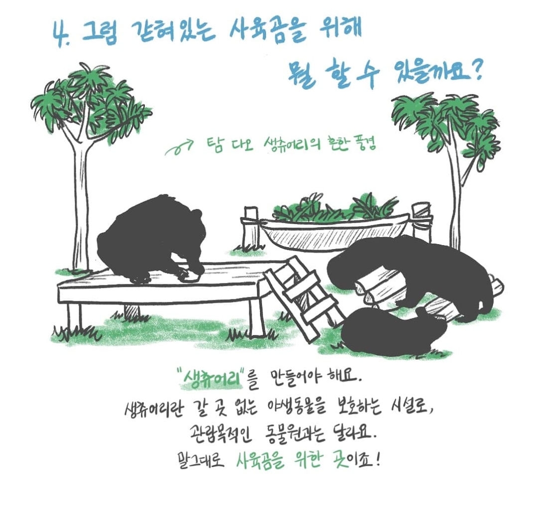 곰 보금자리 프로젝트 project moon bear | 인스티즈
