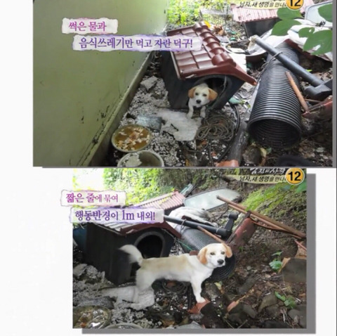 김국진과 반려견 덕구 | 인스티즈