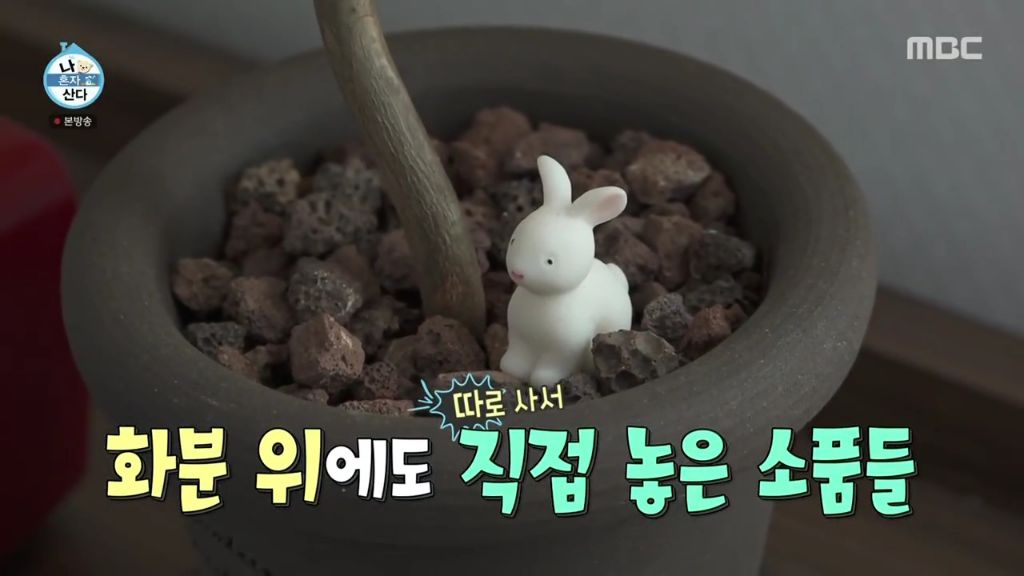 나 혼자 산다에 출연한 조아람 | 인스티즈