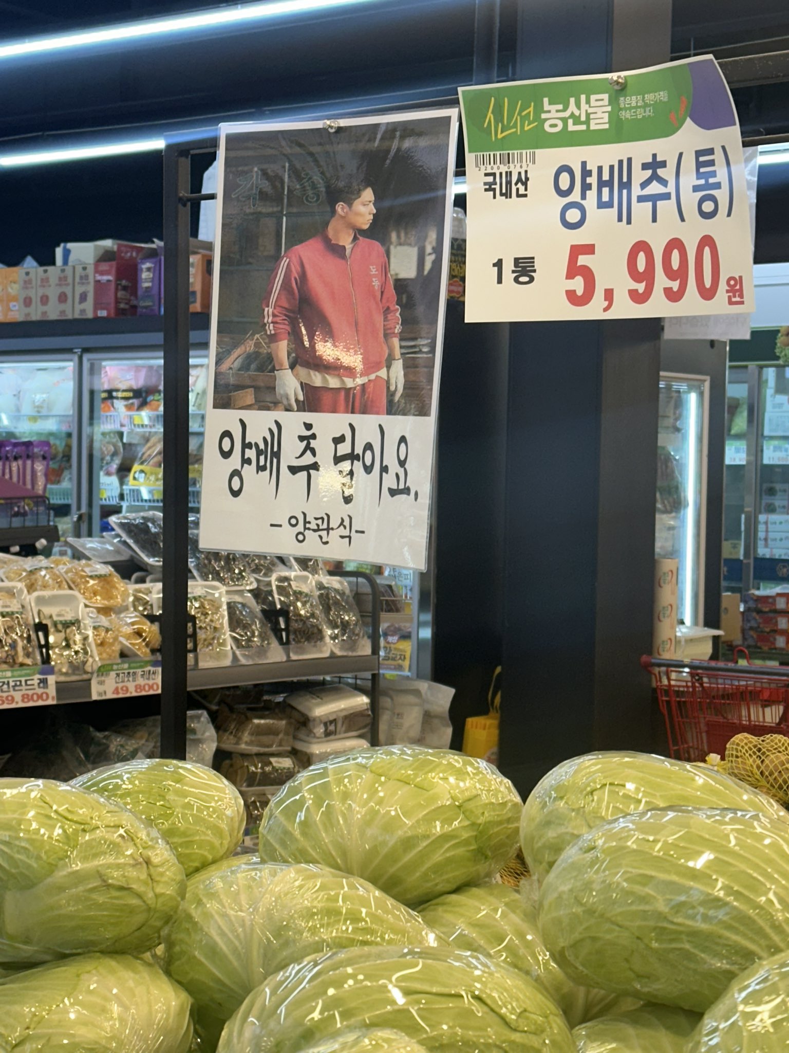 온세상이 폭싹이다 | 인스티즈