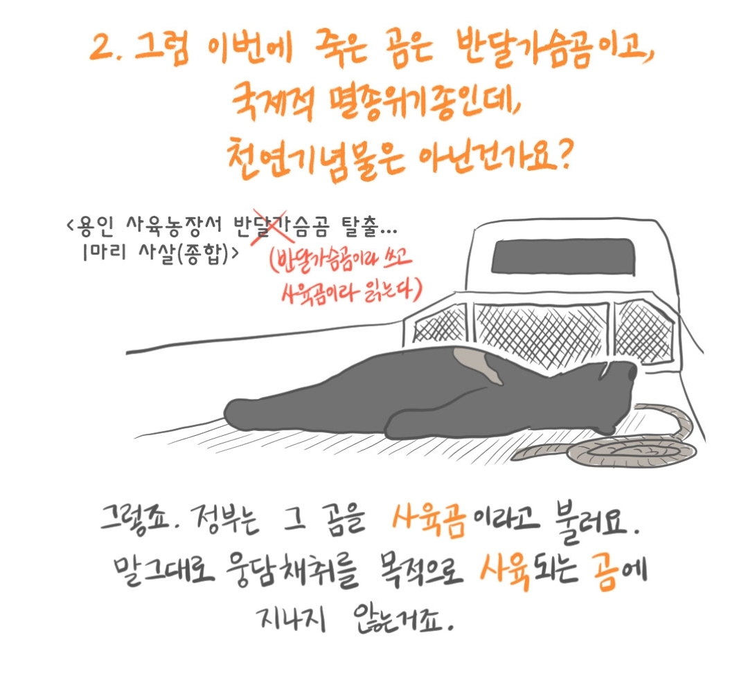 곰 보금자리 프로젝트 project moon bear | 인스티즈