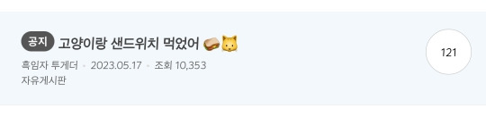 고양이랑 샌드위치 먹었어 🥪🐱 | 인스티즈