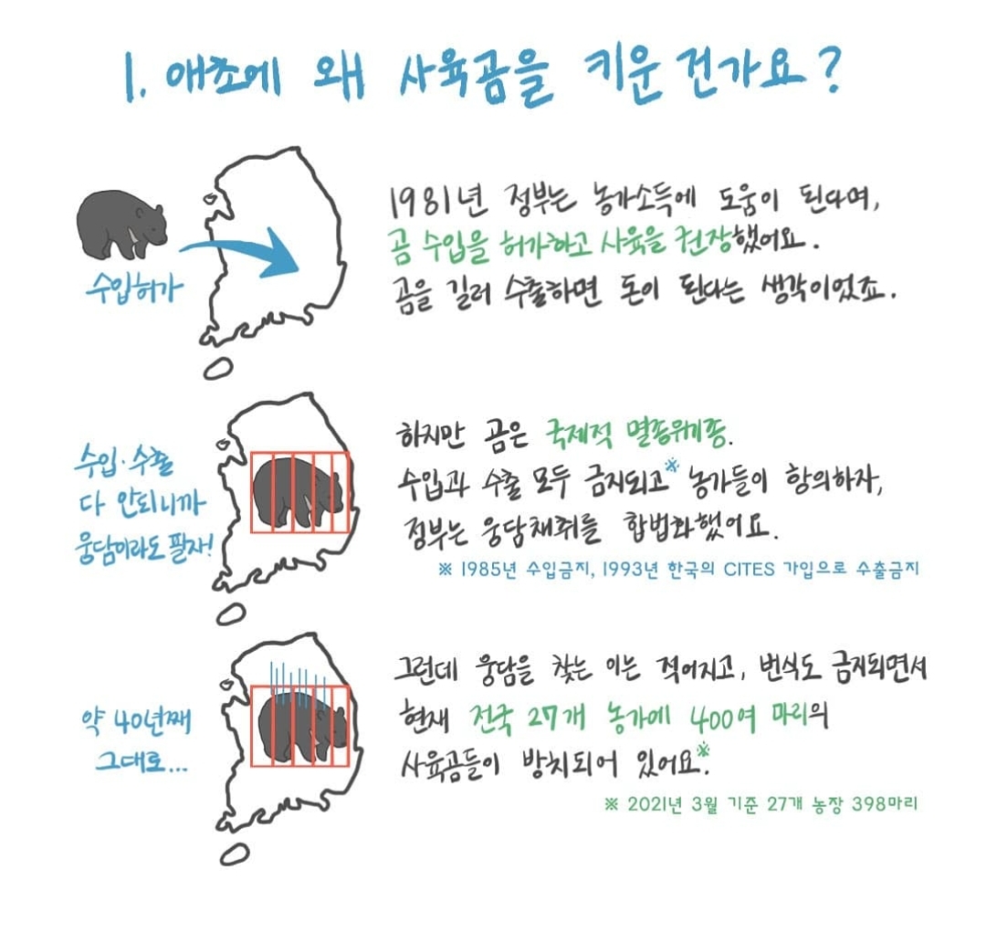 곰 보금자리 프로젝트 project moon bear | 인스티즈