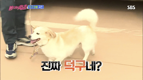 김국진과 반려견 덕구 | 인스티즈