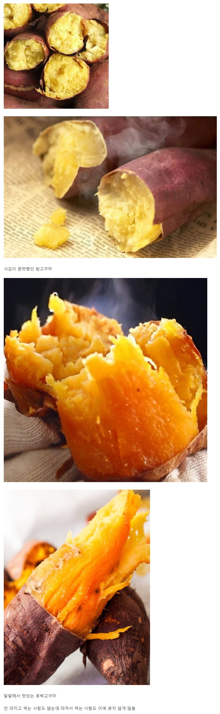  치열하게 갈리는 고구마 취향