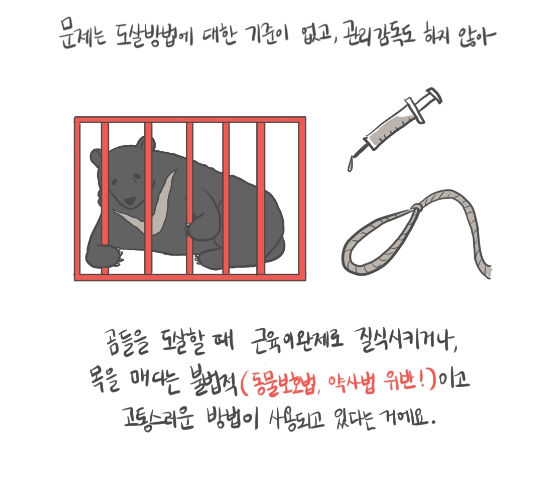 곰 보금자리 프로젝트 project moon bear | 인스티즈