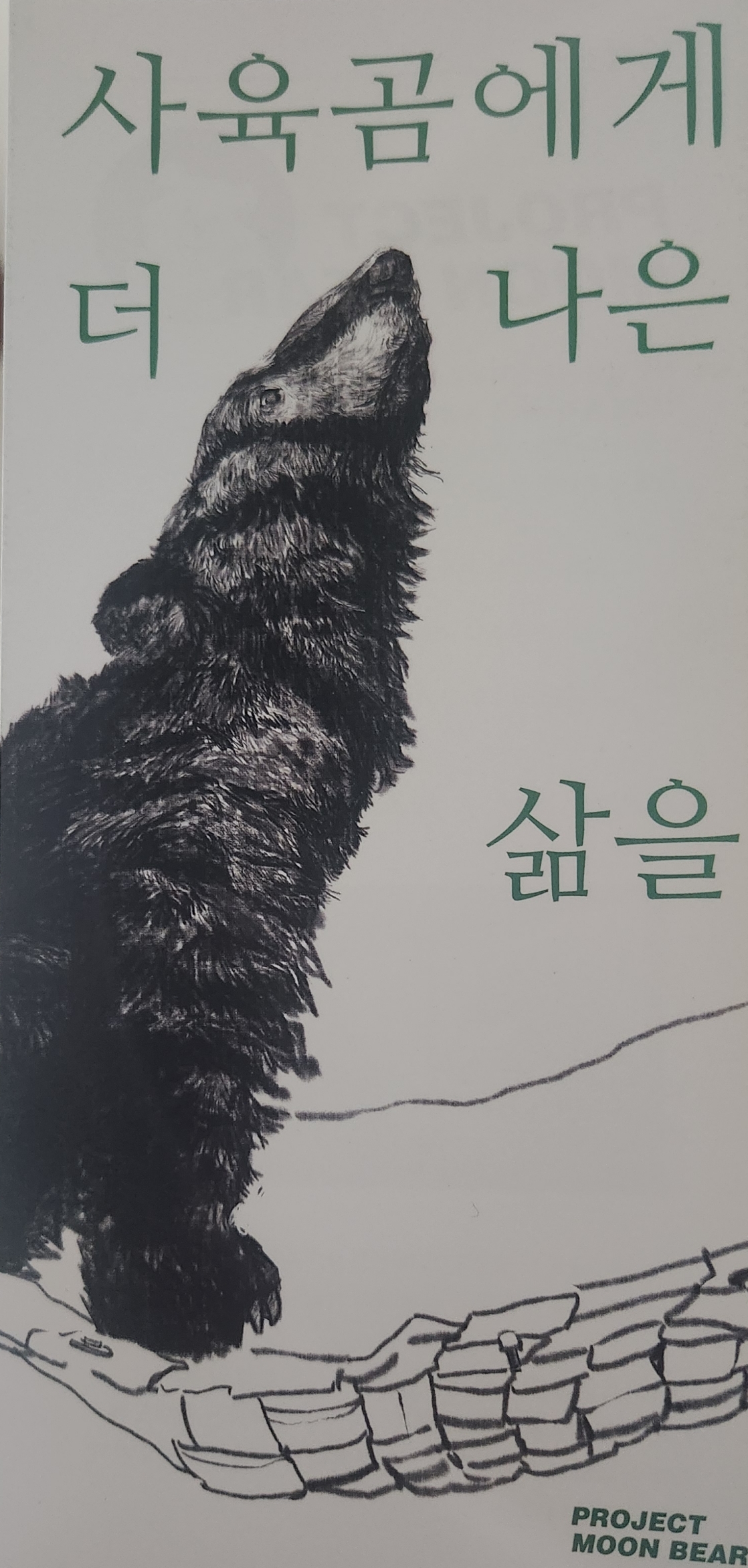 곰 보금자리 프로젝트 project moon bear | 인스티즈