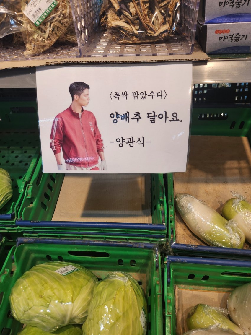 온세상이 폭싹이다 | 인스티즈