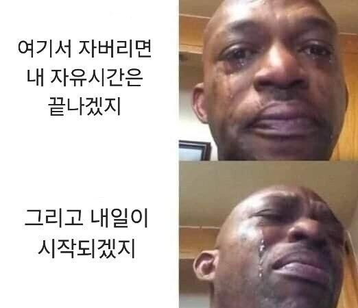  직장인이 늦게 자는 이유