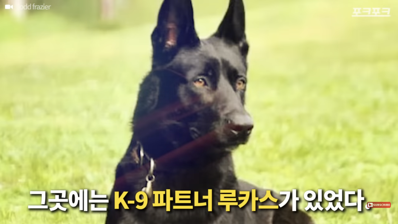 죽기 직전 특수버튼 눌러서 살아난 경찰 | 인스티즈