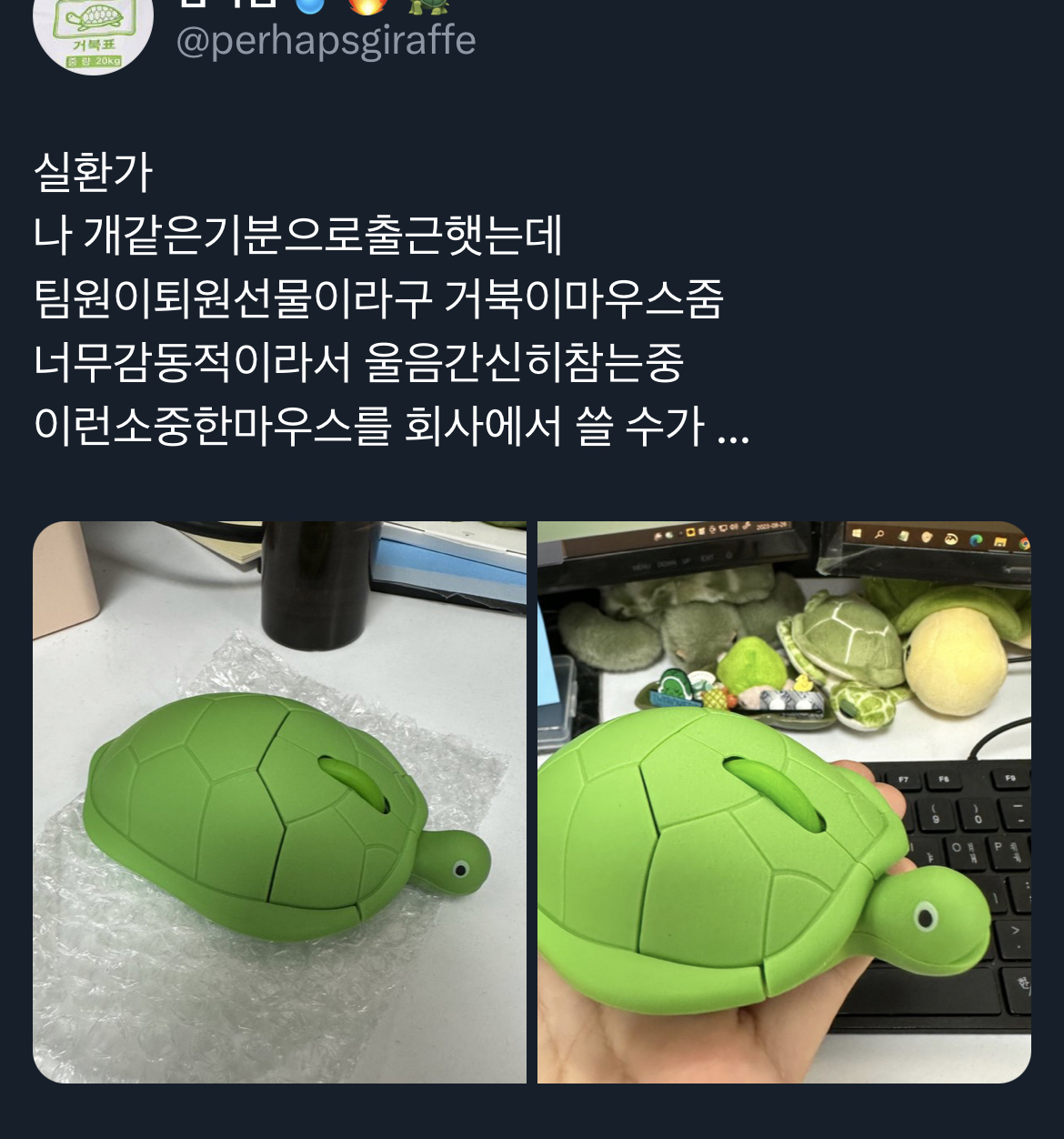  팀원이퇴원선물이라구 거북이마우스줌 🐢1