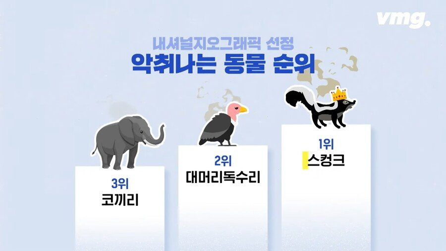 미국에서 냉동김밥이 기존 김밥보다 인기 많은 의외의 이유 | 인스티즈