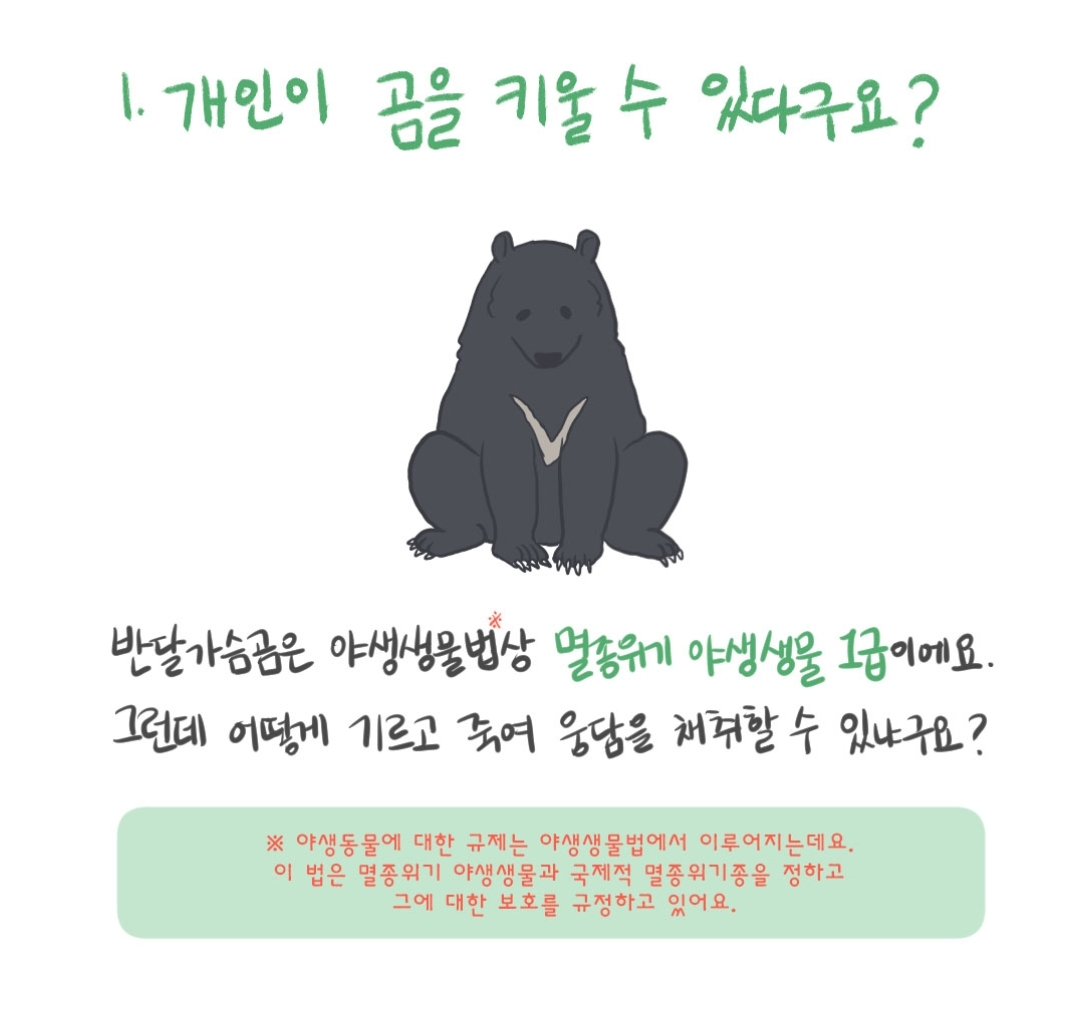 곰 보금자리 프로젝트 project moon bear | 인스티즈
