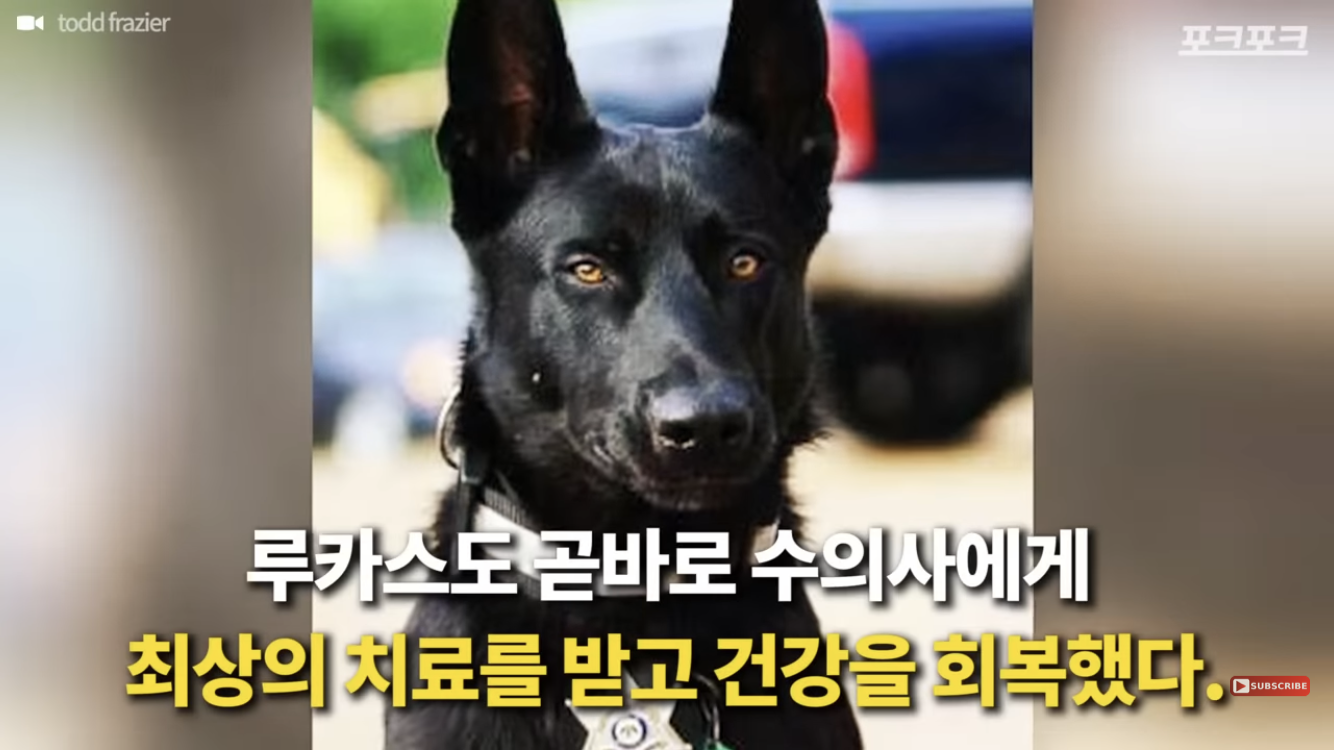 죽기 직전 특수버튼 눌러서 살아난 경찰 | 인스티즈