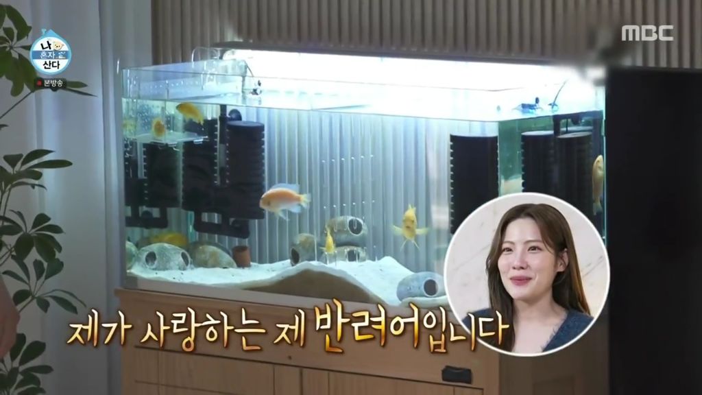 나 혼자 산다에 출연한 조아람 | 인스티즈