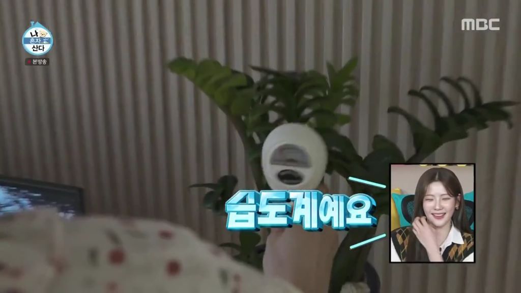 나 혼자 산다에 출연한 조아람 | 인스티즈