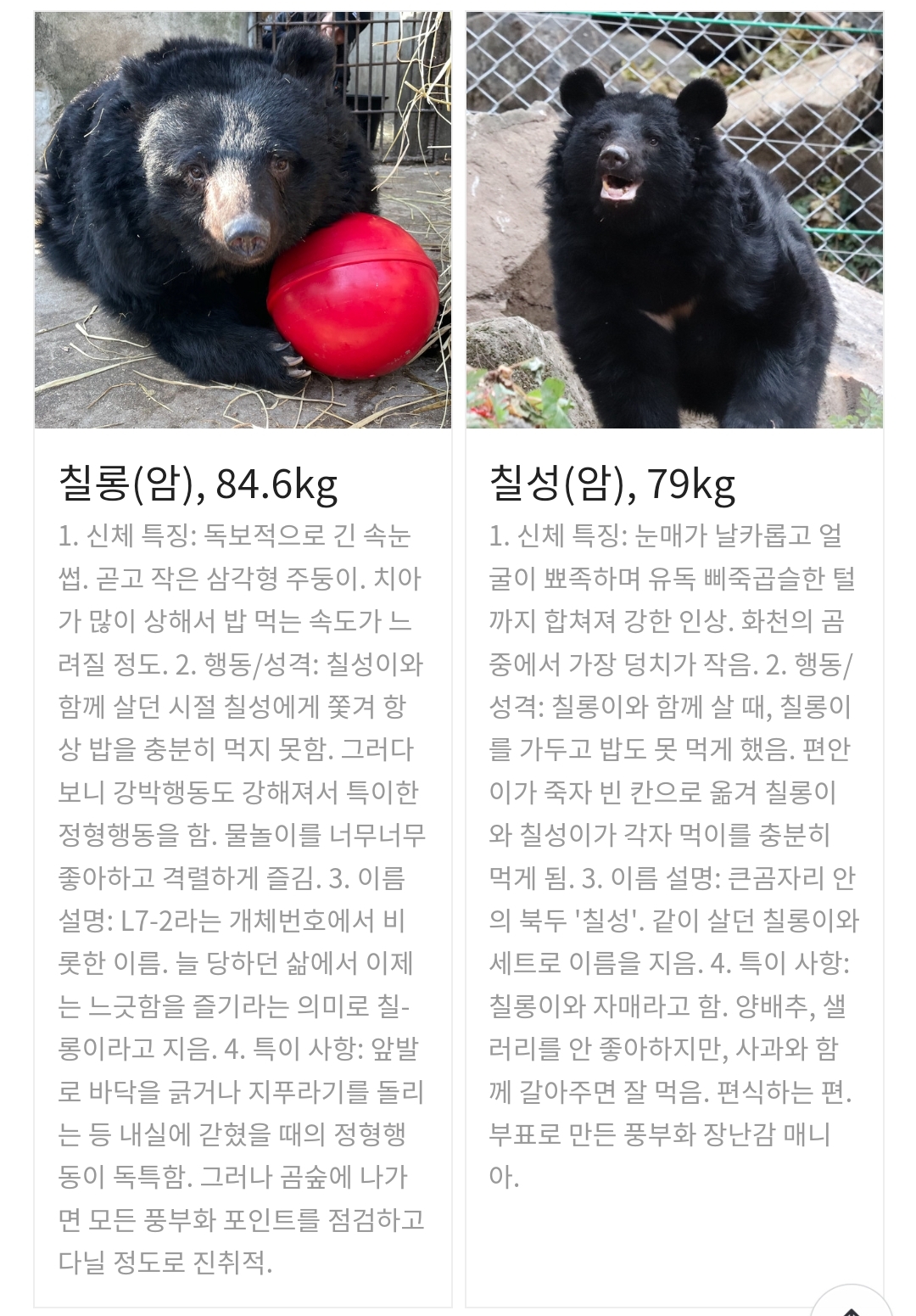 곰 보금자리 프로젝트 project moon bear | 인스티즈