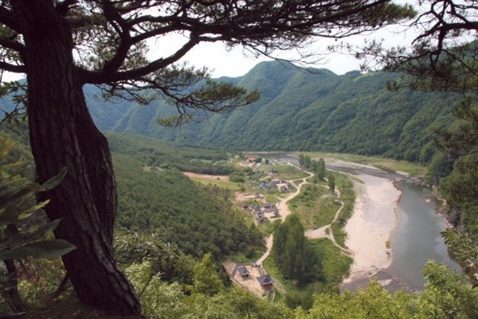  600년 역사의 전통주, 일엽편주1