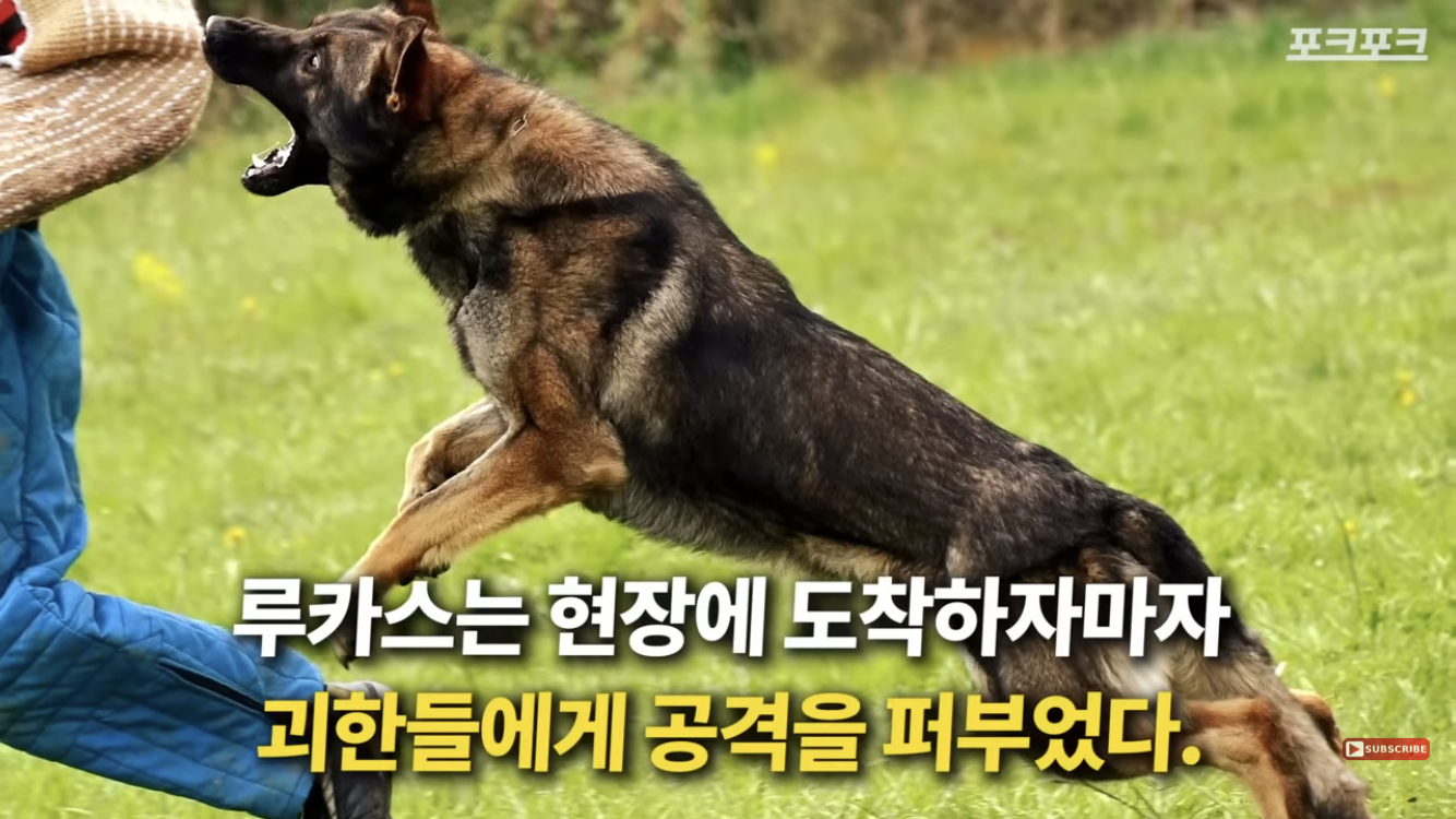 죽기 직전 특수버튼 눌러서 살아난 경찰 | 인스티즈