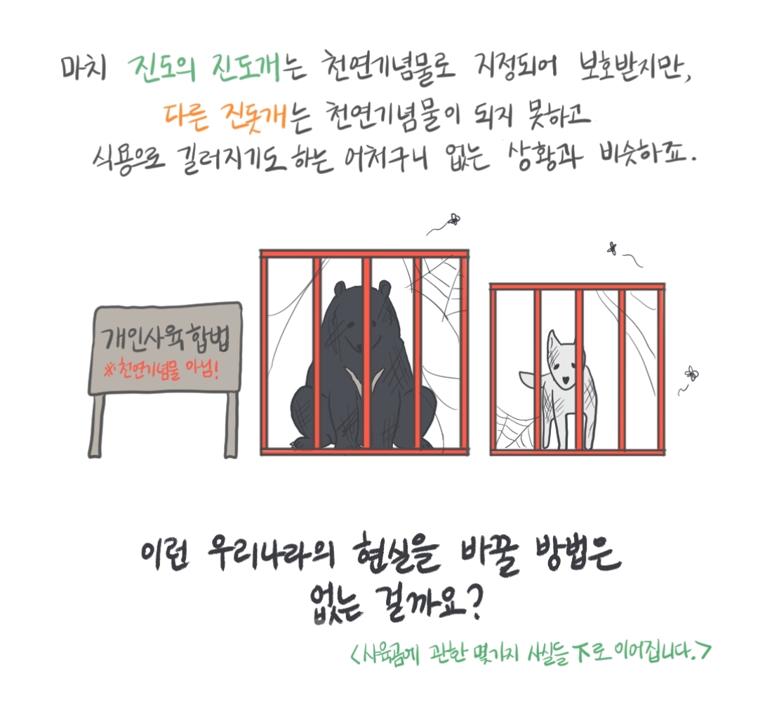 곰 보금자리 프로젝트 project moon bear | 인스티즈