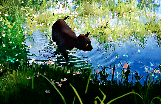 영화 플로우 볼 때 고양이 집사들이 공통적으로 하는 생각 | 인스티즈