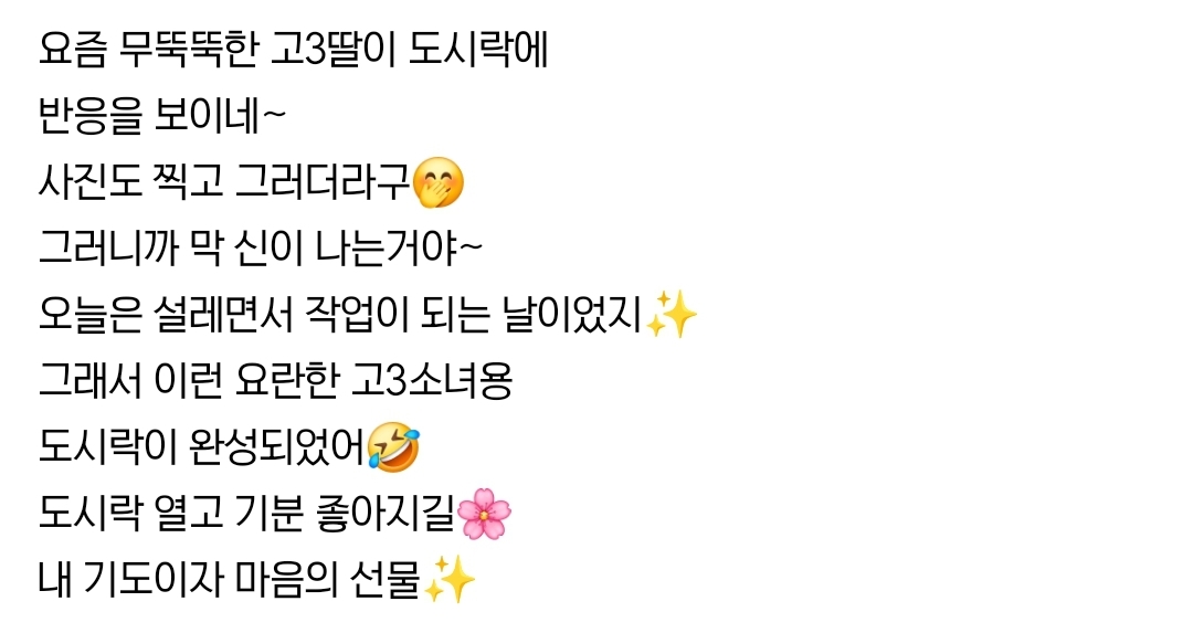 예고 다니는 딸을 위한 도시락.jpg | 인스티즈