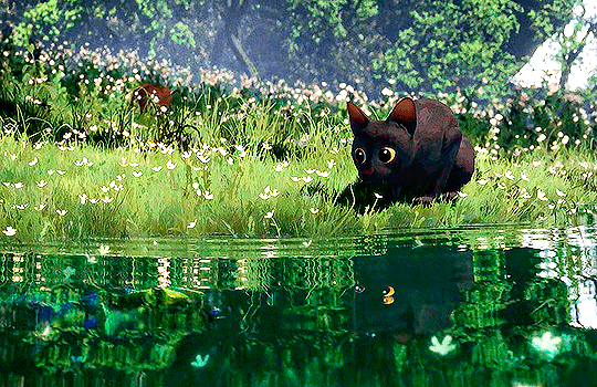 영화 플로우 볼 때 고양이 집사들이 공통적으로 하는 생각 | 인스티즈