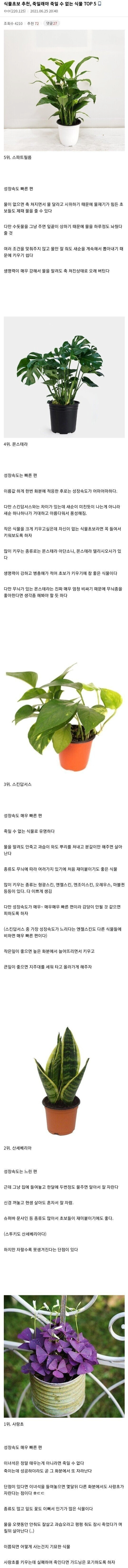  식물 초보 추천,죽일래야 죽일 수가 없는 식물 Top 5