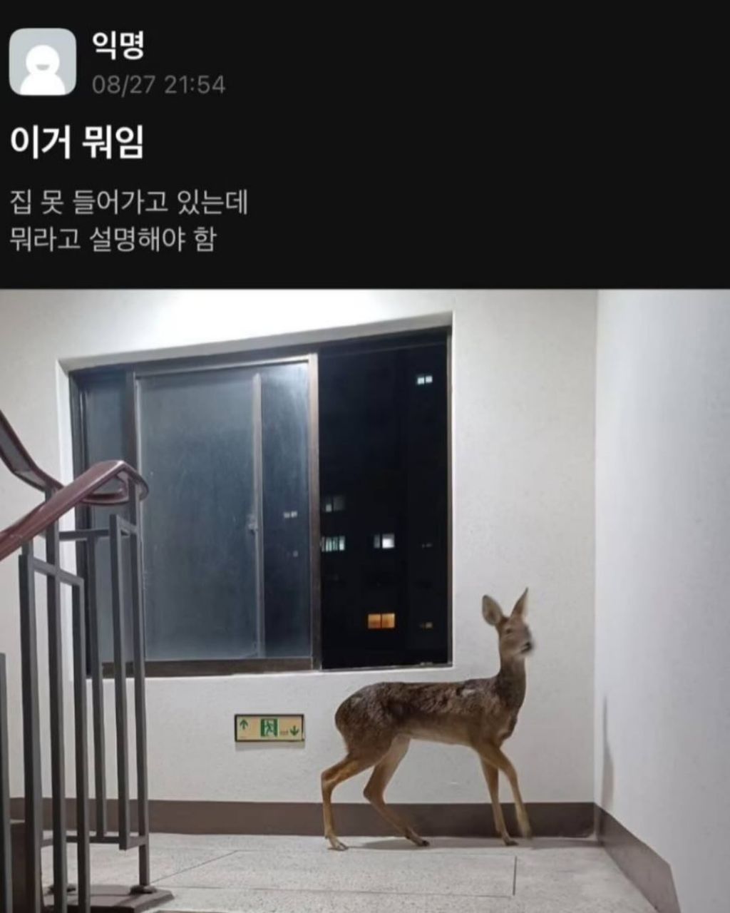이거 뭐임 | 인스티즈