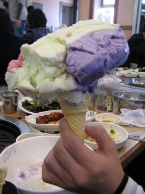 후식용 대용량 아이스크림 | 인스티즈