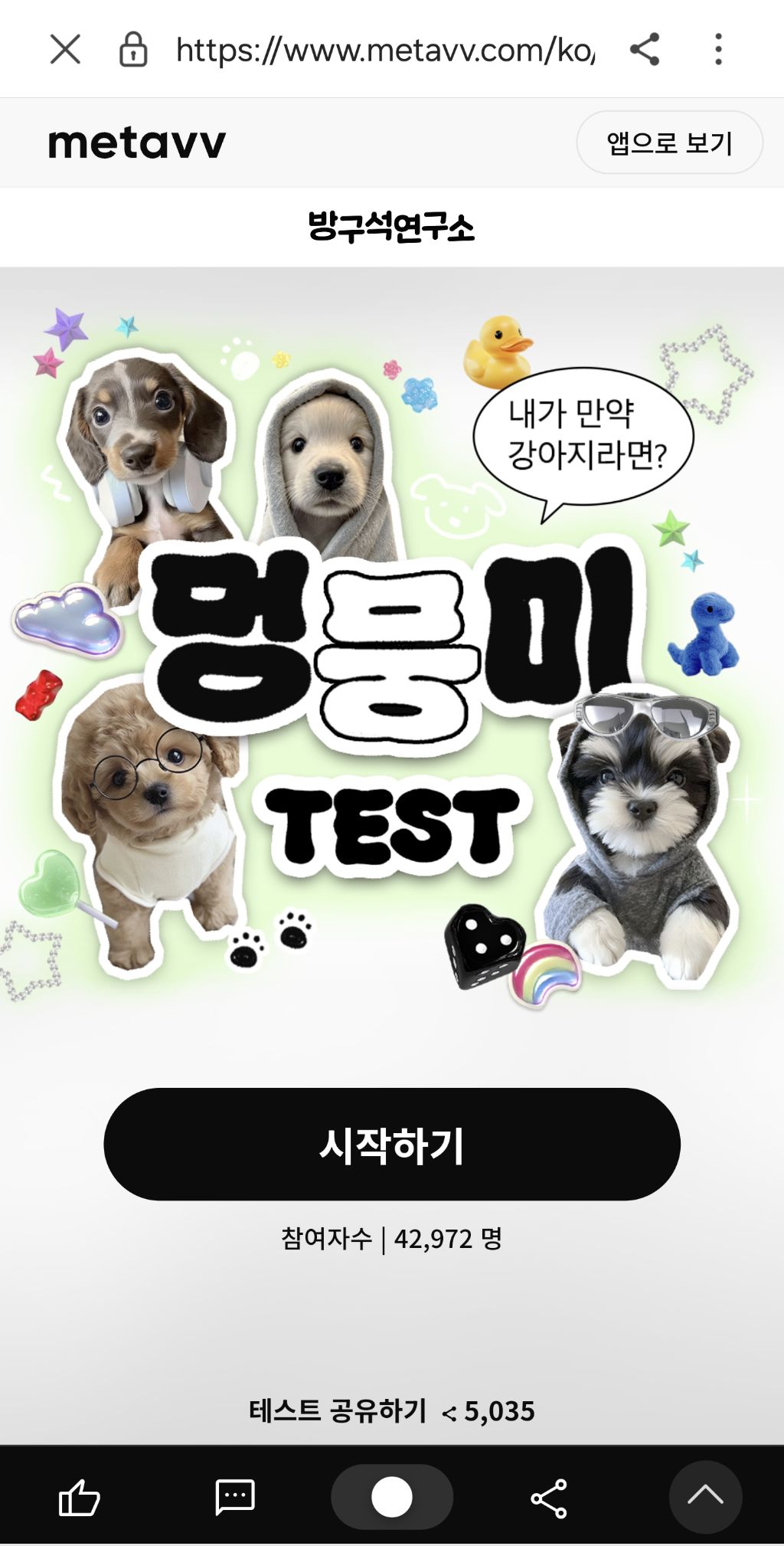 귀여움 과한 멍뭉미 테스트 | 인스티즈