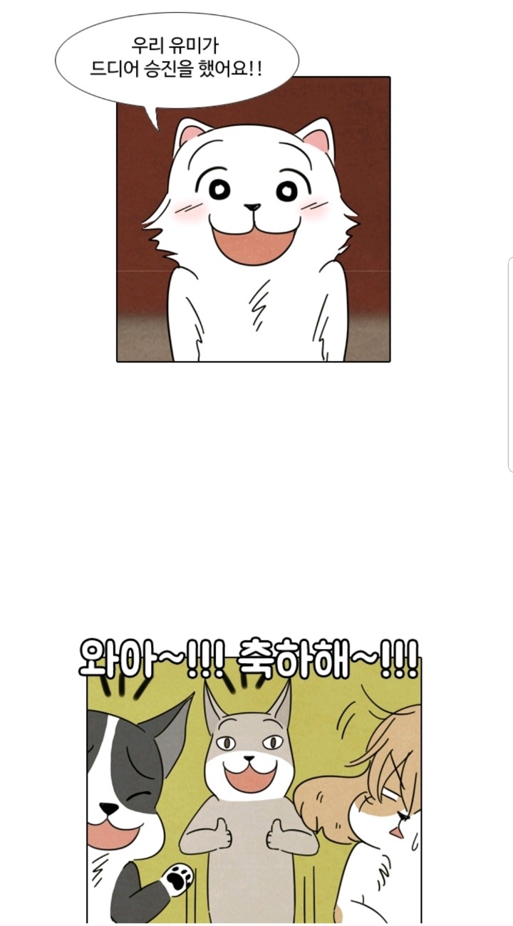 강아지 모임에서 주인 자랑하는 강아지들 | 인스티즈