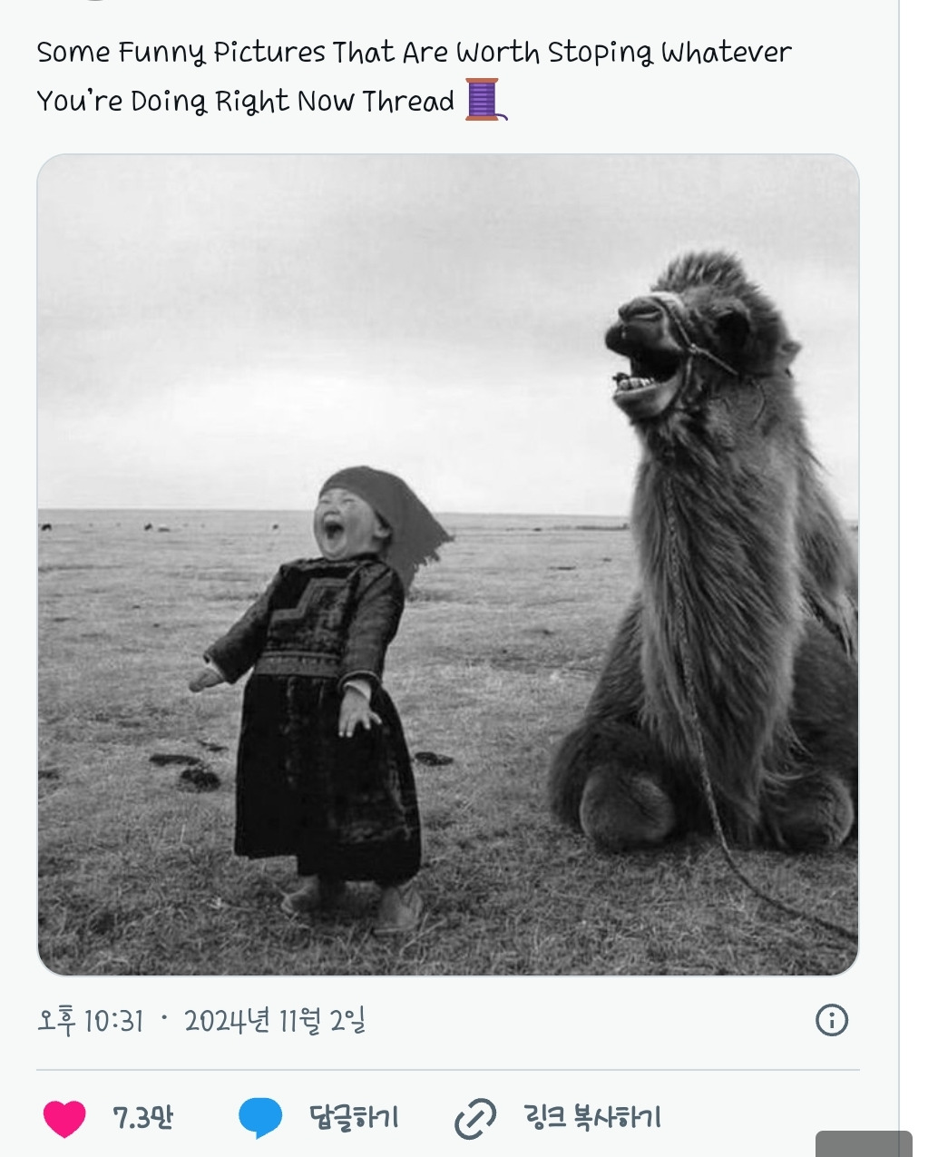  이 사진을 보면 기분이 좋아질 걸