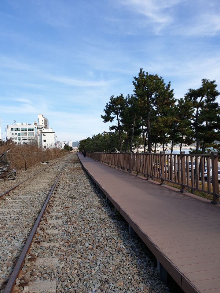 조금 느리게 걷는 당신에게 | 인스티즈