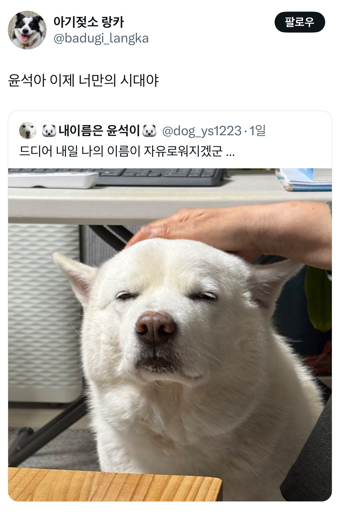 무정부가 되면 환율이 떨어지는 나라가 있습니다 바로 대한민국입니다 탄핵 기념 트위터 모음 2️⃣ .twt | 인스티즈