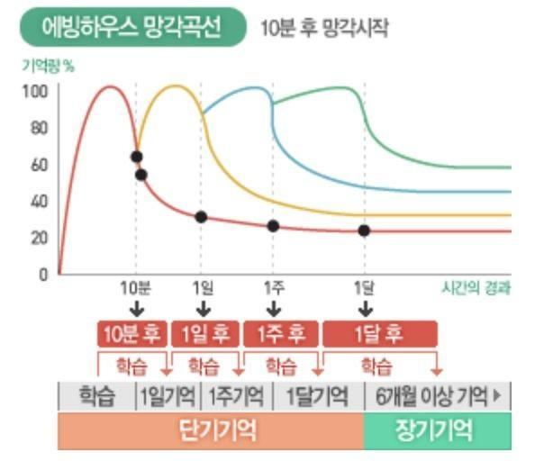  장기기억으로 남기 위해선, 약 4번의 복습이 필요함1