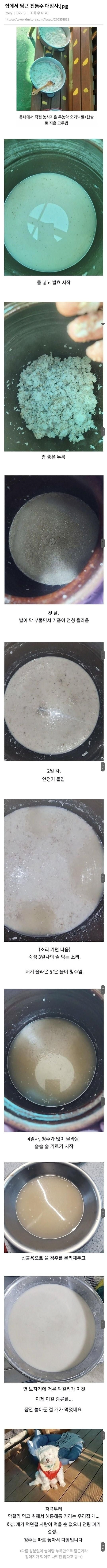  집에서 담근 전통주 대참사 ..jpg