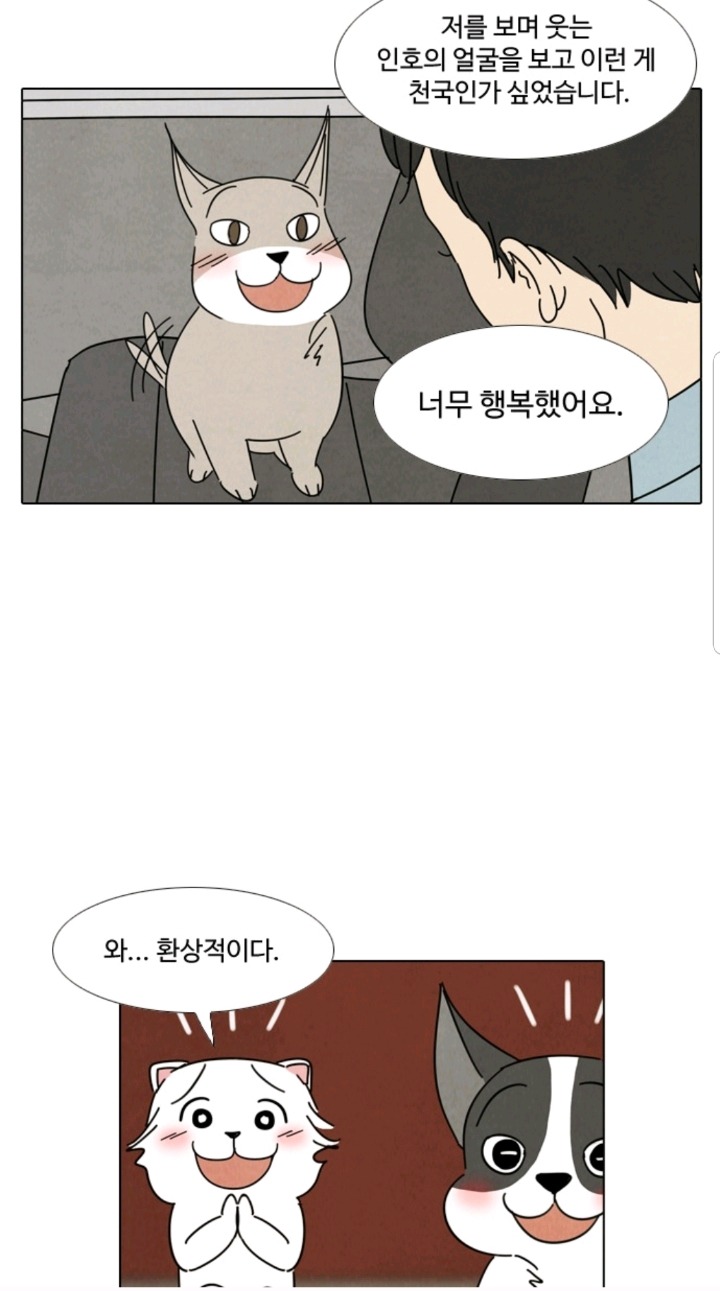 강아지 모임에서 주인 자랑하는 강아지들 | 인스티즈