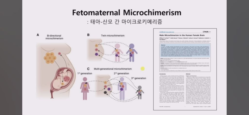  아들 낳은 엄마 뇌가 남자처럼 변하는 과학적 이유 밝혀짐