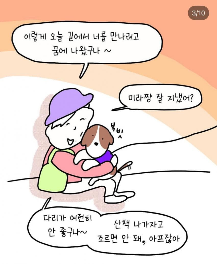 반려견과 산책 중에 만난 한 아주머니 | 인스티즈