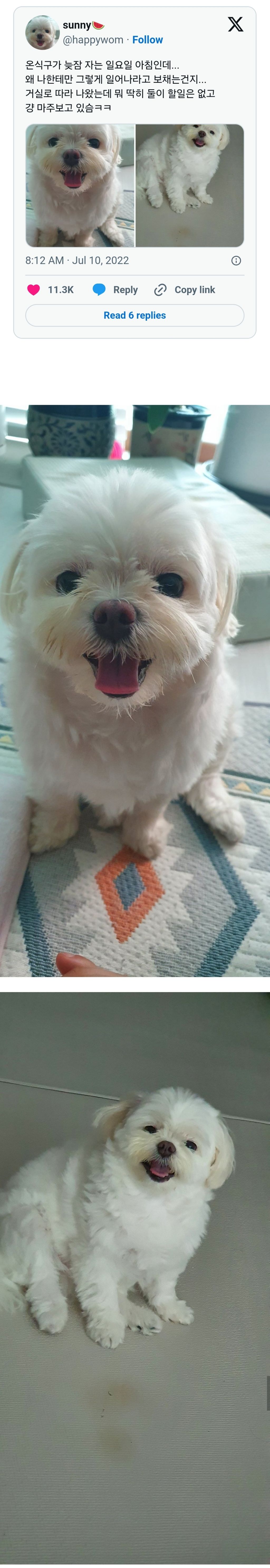 온식구가 늦잠 자는 일요일 아침인데...