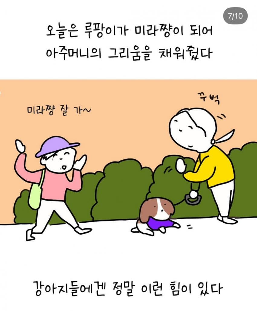 반려견과 산책 중에 만난 한 아주머니 | 인스티즈