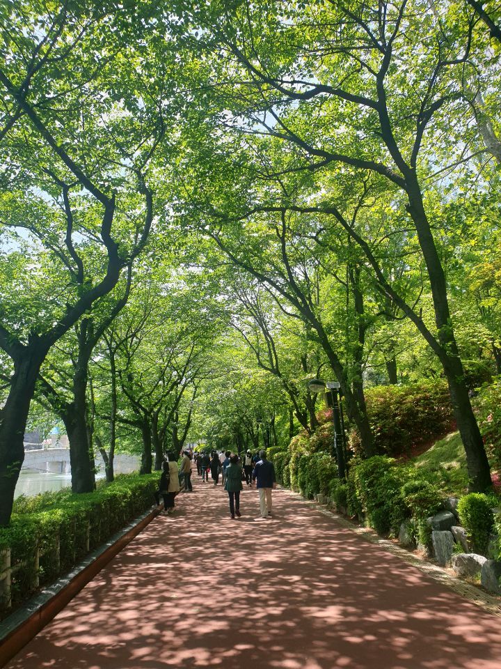 조금 느리게 걷는 당신에게 | 인스티즈