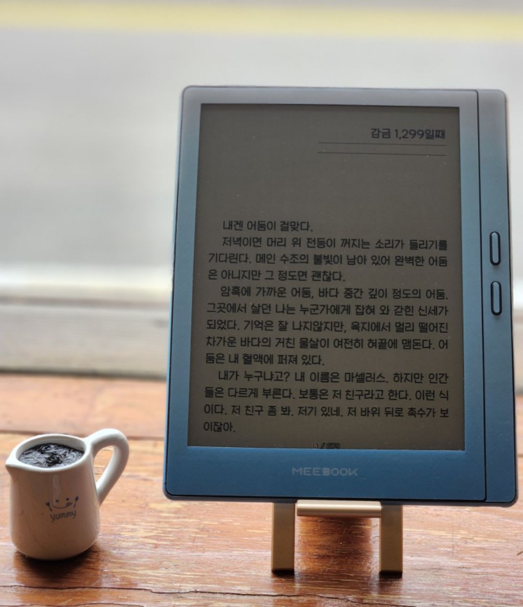사용하고 독서량 늘어난 사람 많다는 전자기기 | 인스티즈