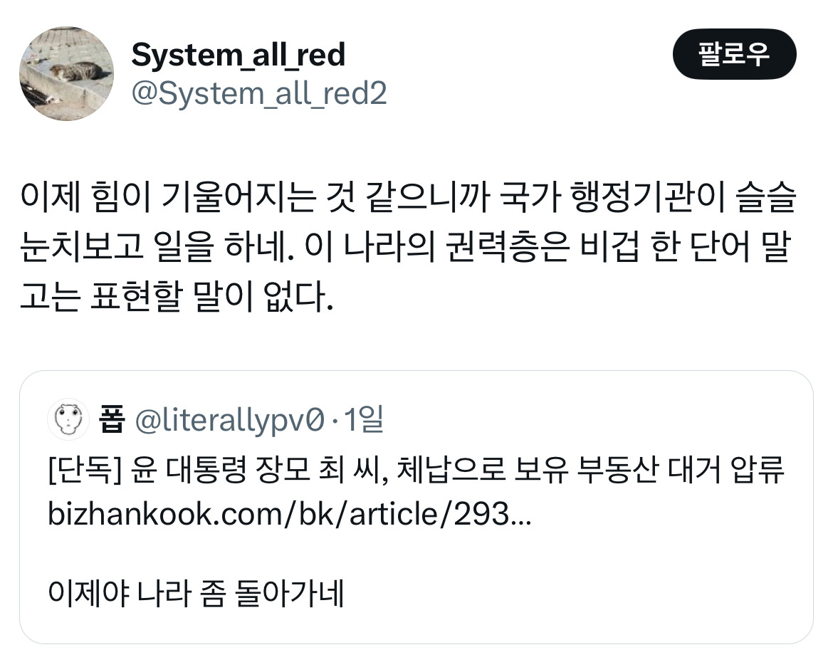 무정부가 되면 환율이 떨어지는 나라가 있습니다 바로 대한민국입니다 탄핵 기념 트위터 모음 2️⃣ .twt | 인스티즈