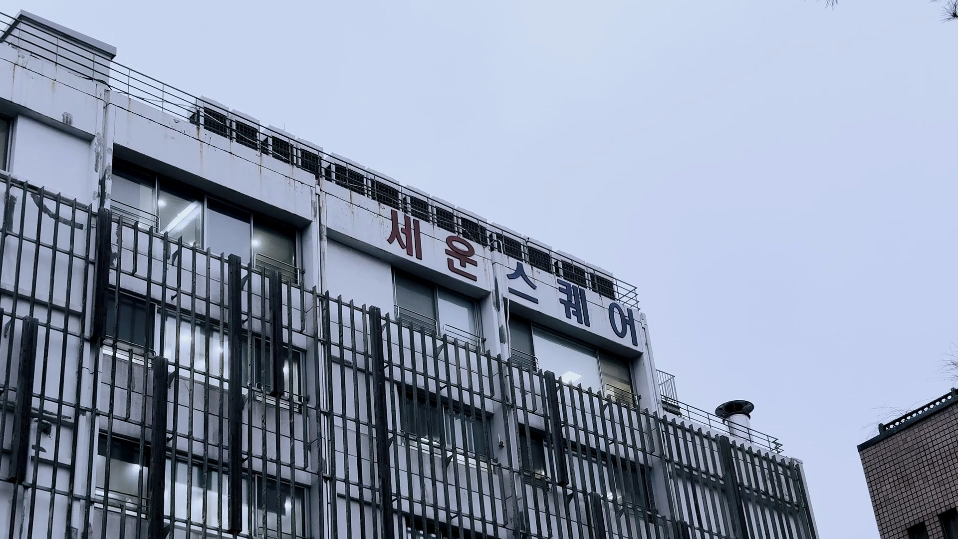 인간싸이월드로 불렸던 배우 정인선 유튜브 시작했는데 감성미침 | 인스티즈