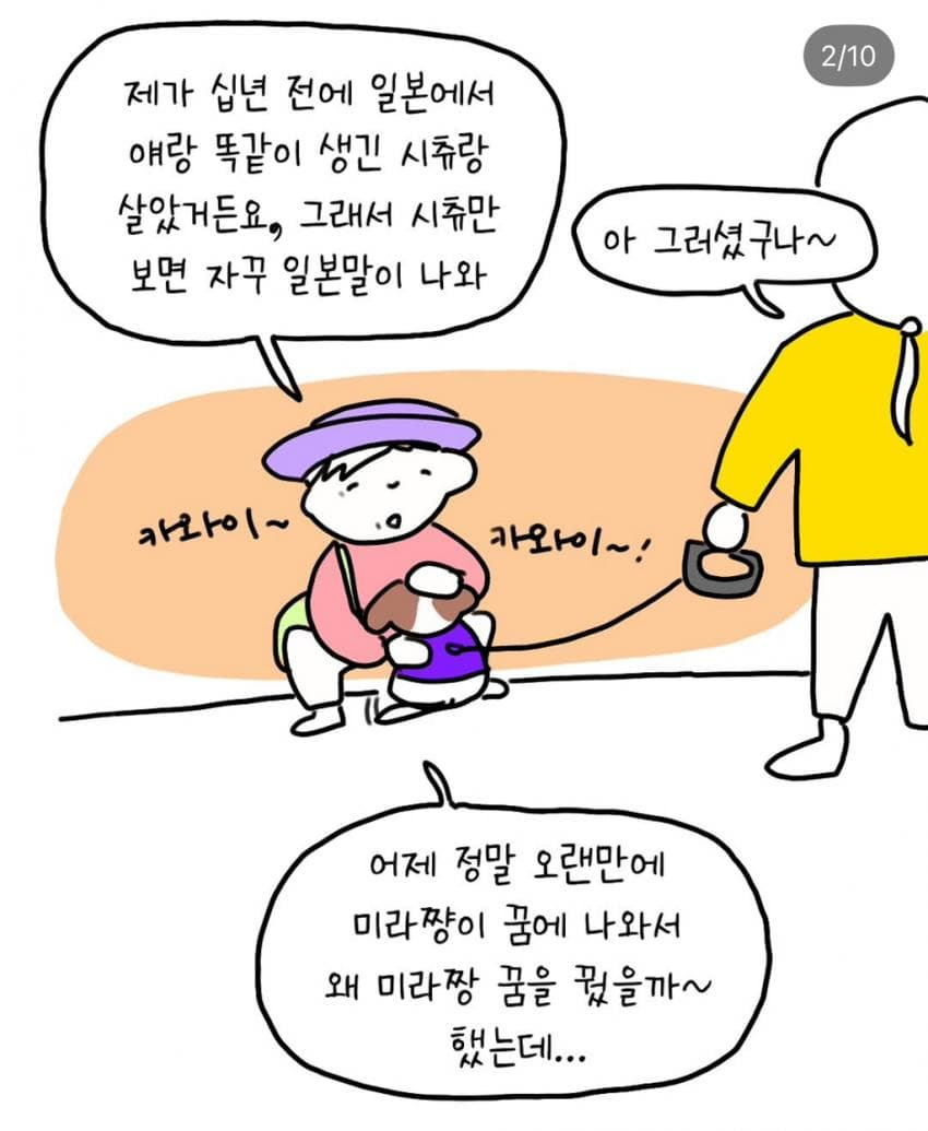 반려견과 산책 중에 만난 한 아주머니 | 인스티즈