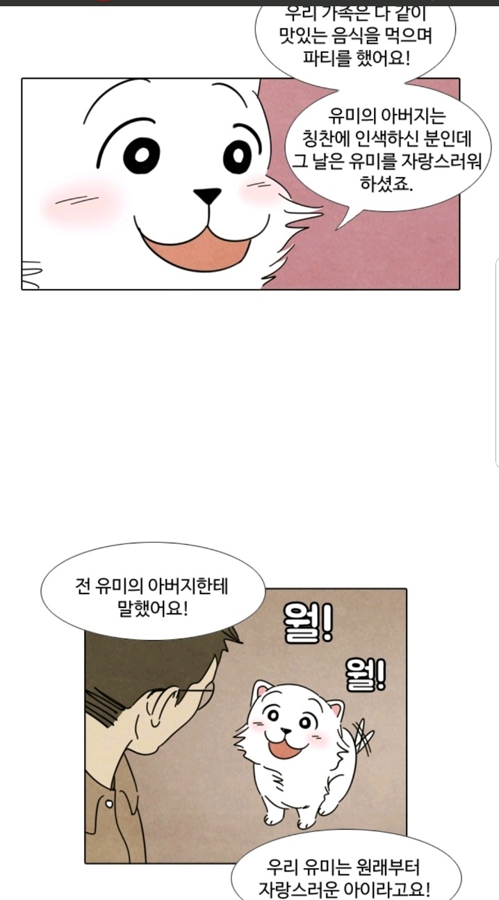 강아지 모임에서 주인 자랑하는 강아지들 | 인스티즈