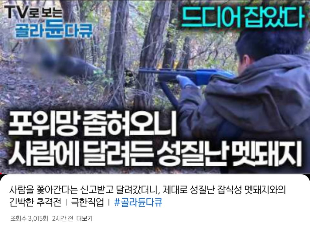  EBS 유튜브 근황